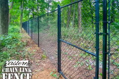 5 Foot High System21 Black Chain-Link Fence-With Walk Gate