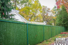 6 Foot High System21 Chain-Link Fence With Hedge